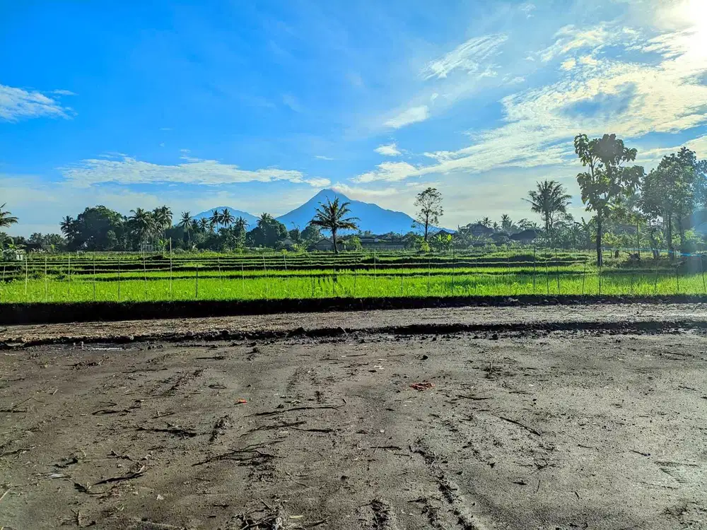 View Sawah, Tanah Jogja Dekat Resto Jejamuran