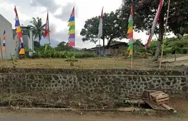 Dijual Tanah Paling Murah Termurah Palasari Tanjungsari Cijeruk Bogor