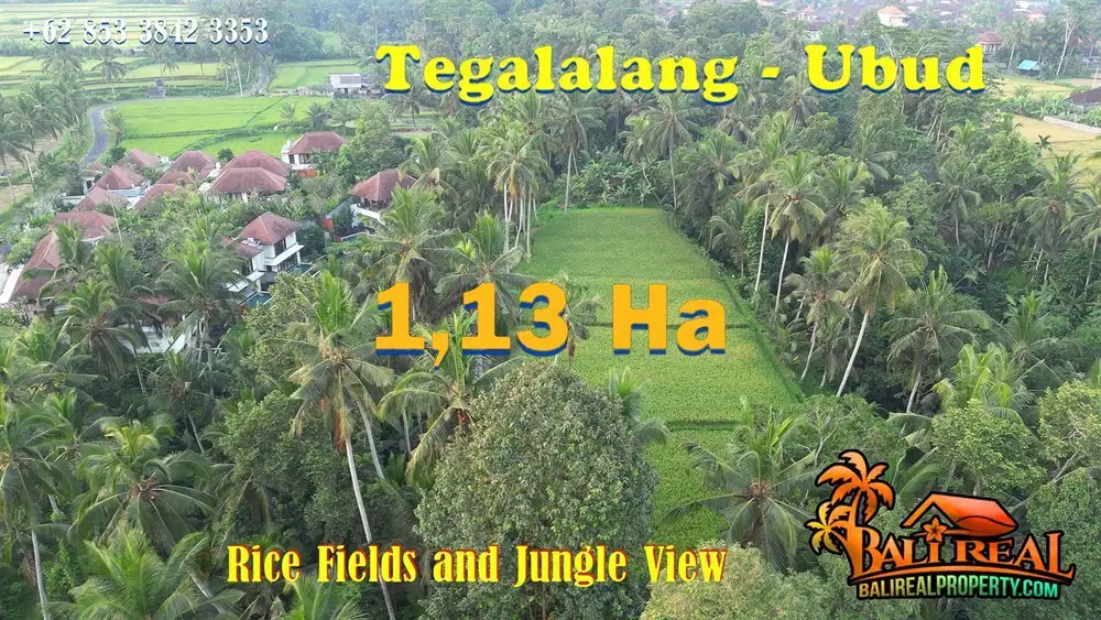 11,300 m2 untuk Investasi di Tegallalang dg Akses Jalan Pribadi