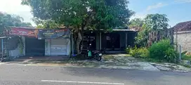 Dijual tanah bonus rumah dan tempat usaha di Jl. Palagan km. 16