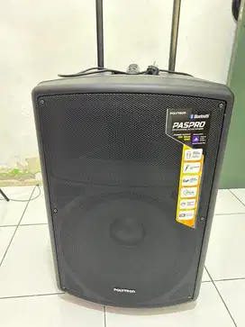 Speaker polytron paspro