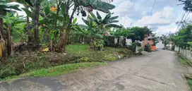 TANAH ABUSAMA COCOK UNTUK KOSAN PALEMBANG