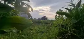 Jual Tanah Datar SHM Luas 500m2 Citeko Cisarua Puncak Bogor