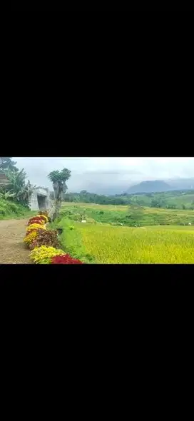 Tanah 2 Lokasi luas 2000 & 4000 mtr view hadap gunung langsung