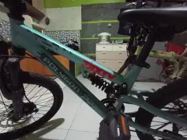 Polygon Rapid 20