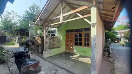 dijual rumah super murah di pedan 227 meter , 175juta
