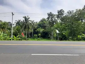 dijual tanah murah,pinggir jalan nasional jogja-wates.