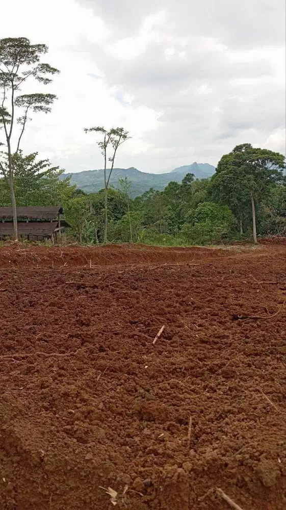 DI JUAL TANAH KAVLING SHM STRATEGIS VIEW GUNUNG HANJAWONG BOGOR TIMUR