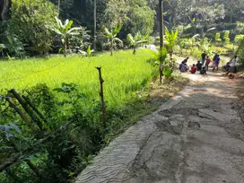 Tanah di CIJERUK dijual