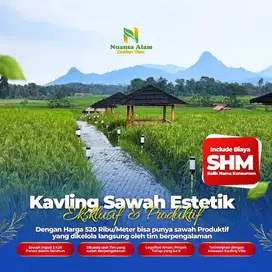 TANAH MURAH PINGGIR JALAN PROPINSI DI BOGOR TIMUR