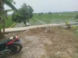 Jual lahan pinggir jalan raya lebar muka 30M²