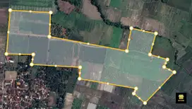 Dijual Murah Kebun Produktif jeruk peras di banyuwangi, Pinggir Jalan