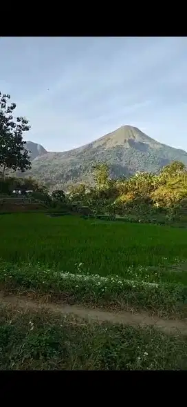 Trawas murah luas 2400meter view gunung cocok buat villa atau cafe