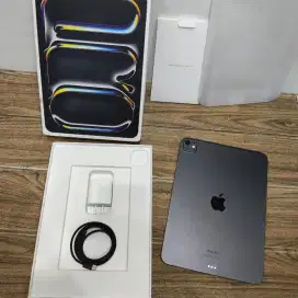 iPad pro M4 11 inch 256 wifi only