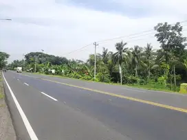 jual tanah pekarangan murah.lokasi timur polres kulon progo