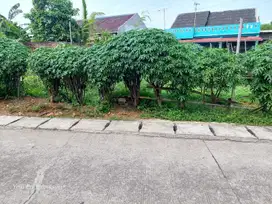 Dijual tanah dekat pemda Karawang