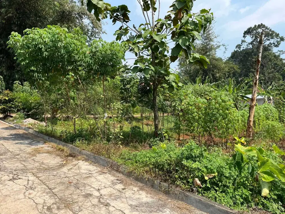 Tanah murah cocok buat kos lokasi patemon UNNES gunungpati