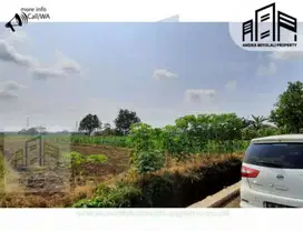 Tanah sawah di Banyudono