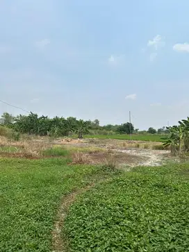 DIJUAL CEPAT BU TANAH MURAH DAERAH STRATEGIS GRESIK