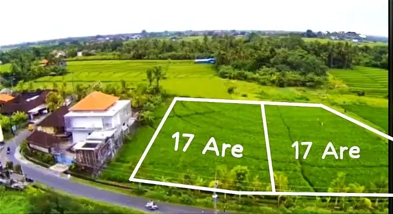 tanah di nyanyi, tanah view sawah, tanah di pantai nyanyi