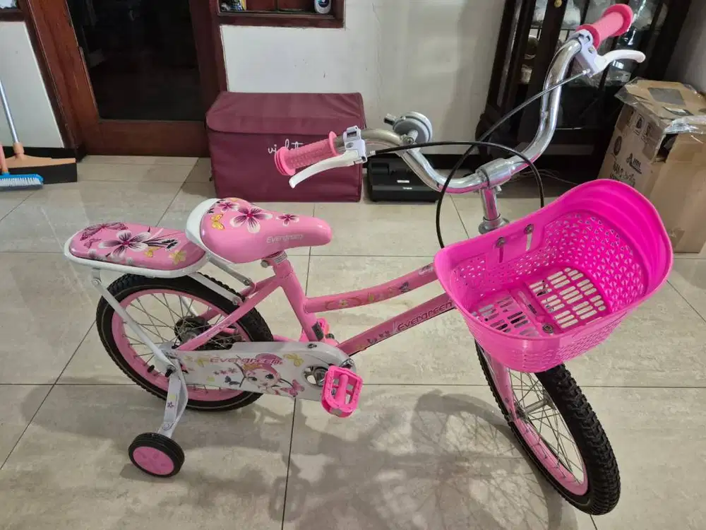 Sepeda anak usia 4 sampai 6 tahun warna pink