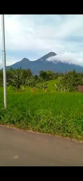 Tanah pacet luas 1.200m di nogosari pacet view bagus pol
