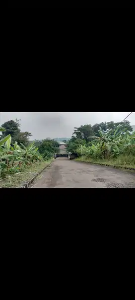 Tanah Di Bukit Hambalang 1,2Ha Cocok u Hotel, Resort, Cafe, Hambalang