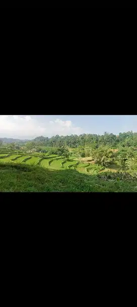 Tanah Sawah 2800 m, Untuk camping ground, Bojong, Purwakarta.