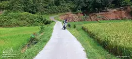 Dijual lahan sawah pinggir jalan