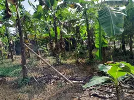 dijual lahan 800 meter dekat exit tol sawit