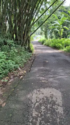 TANAH KEBUN JERUK MURAH MALANG