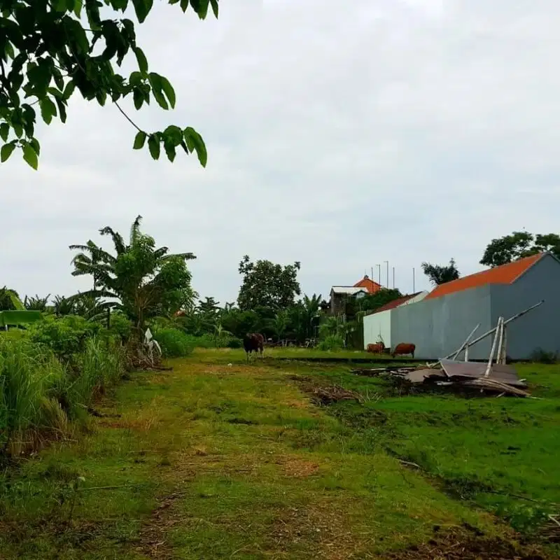 tanah berlokasi umalas bumbak