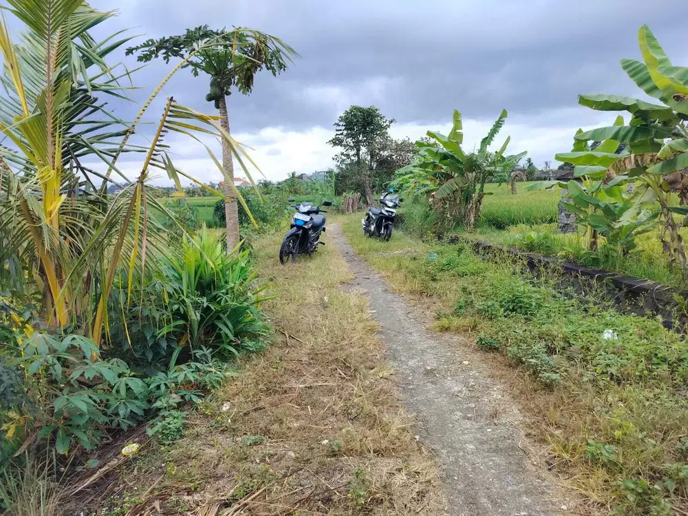 Dijual Tanah di Kelating, Tabanan, Bali – Lokasi Strategis Dekat Panta