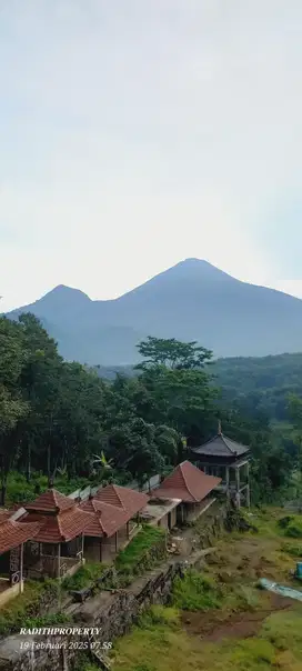 DI JUAL KEBUN DURIAN WISATA TRAWAS PANORAMA GUNUNG