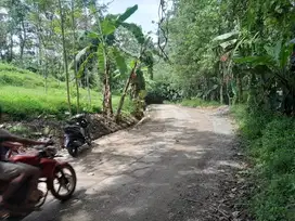 Dijual lahan kebun pinggir jalan 1400 meter
