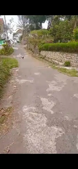 tanah siap bangun di trawas