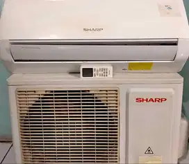 Ac sharp 1/2 pk