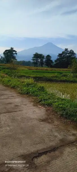 DI JUAL TANAH AREA WISATA TRAWAS PANORAMA GUNUNG PENANGGUNGAN