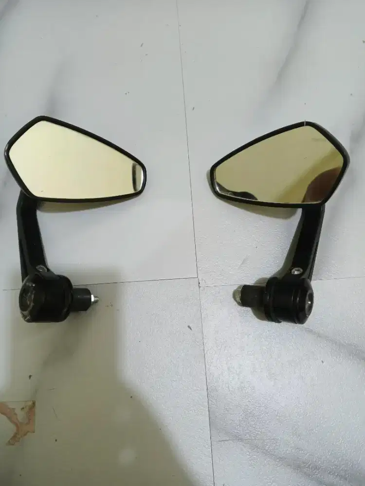 Spion jalu rizoma