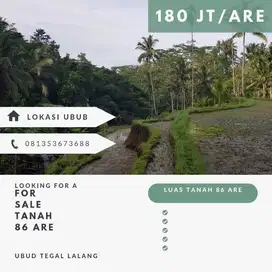 Tanah lokasi ubud
