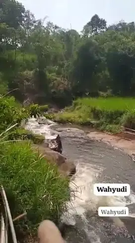 Tanah Kebun Durian Dekat Samping Sungai Di Nongkojajar Tutur Pasuruan