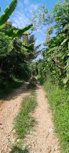 dijual tanah 3570 meter murah