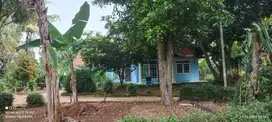 Dijual lahan 1382 meter² + rumah