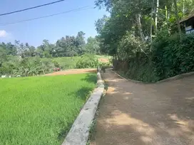 Dijual lahan sawah 1500 meter
