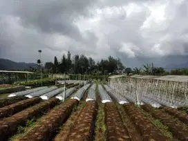 Dijual tanah kebun + Villa Lembang