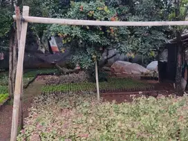 Dijual Tanah Kavling Eksklusif 261m SHM Bisa untuk 3 Rumah