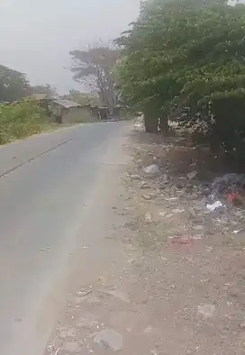 tanah murah Rajek Mulya Tangerang