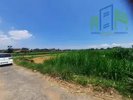 Sawah belakang pom bensin teras