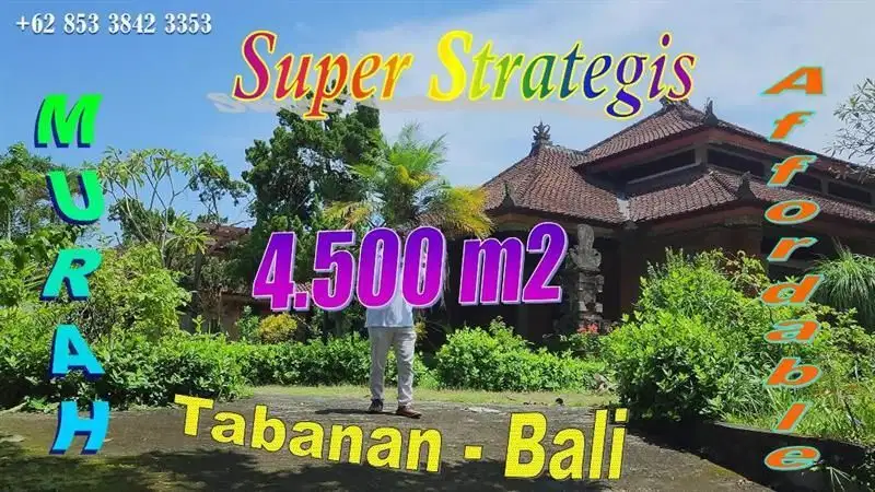 Tanah 45 Are dengan Bangunan ini Dijual Super Murah