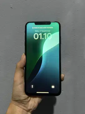 iPhone xs max 64gb inter mulus
Full set